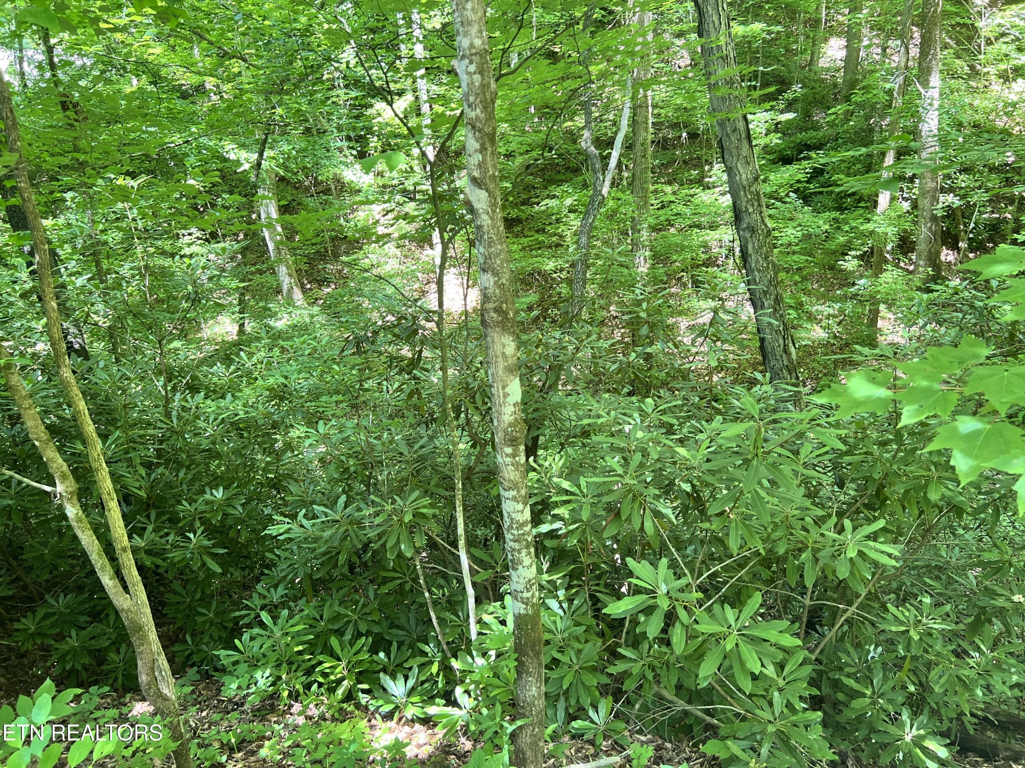 0 Fir Drive Property Photo 4