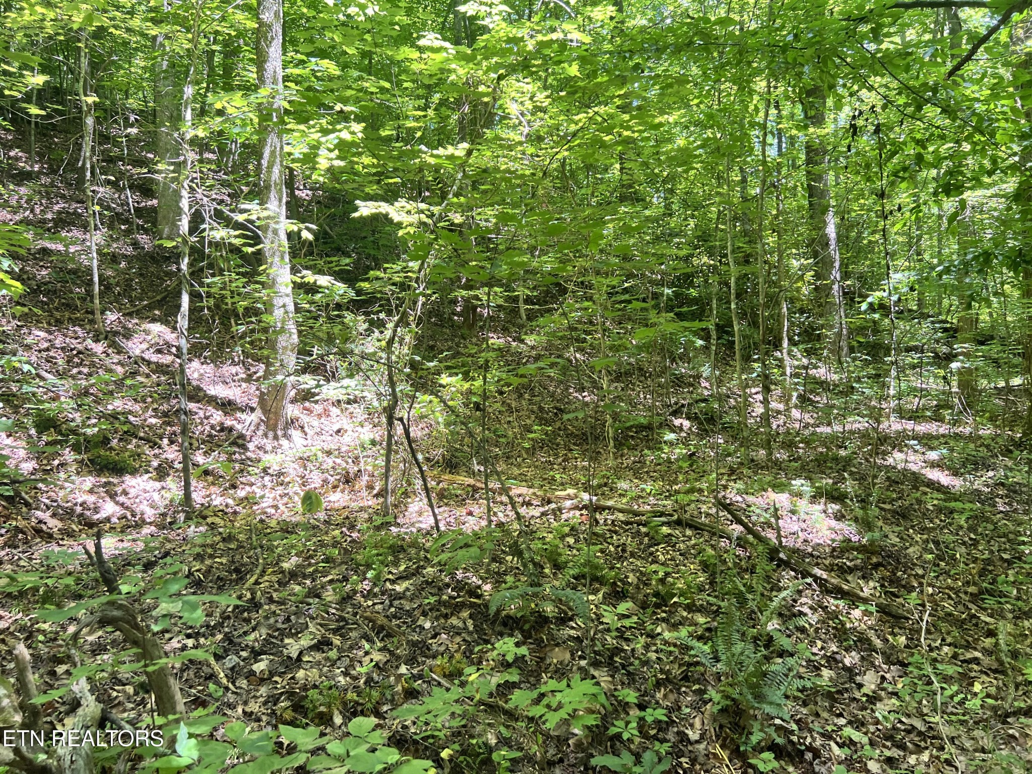 0 Fir Drive Property Photo 12