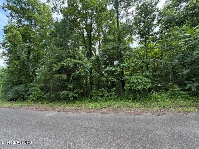 0 Saddleridge Dr. Drive Property Photo 1