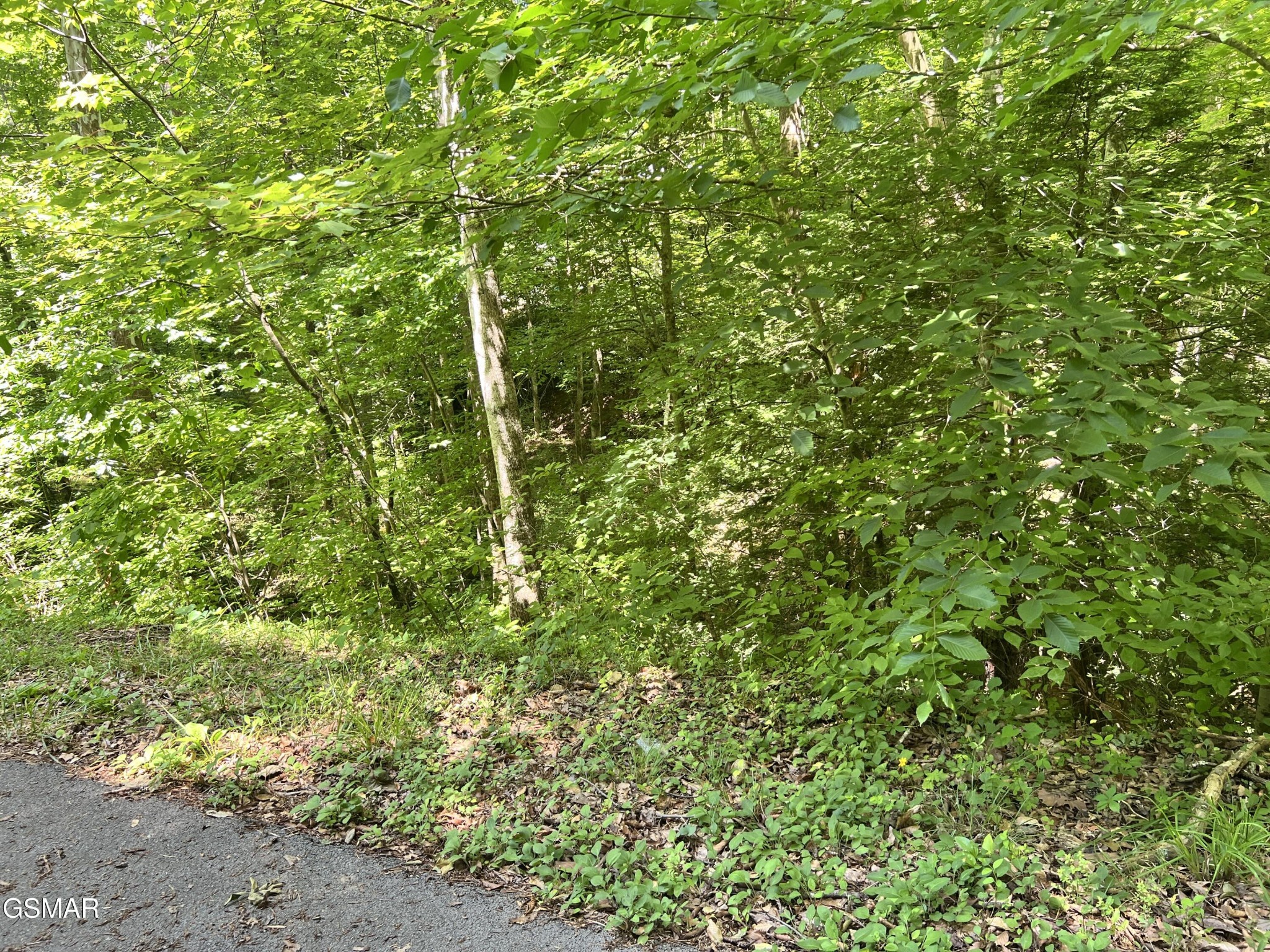 110 Fir Drive Property Photo 1