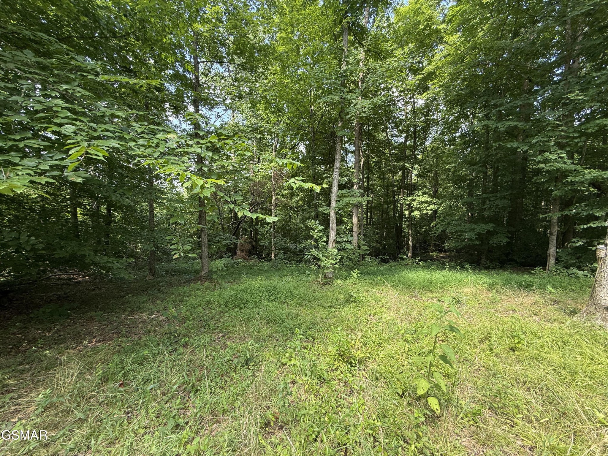 171 Jack Green Road Property Photo 1