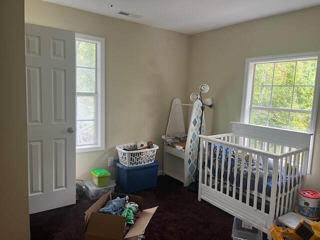 95 Blue Sky Road Property Photo 10