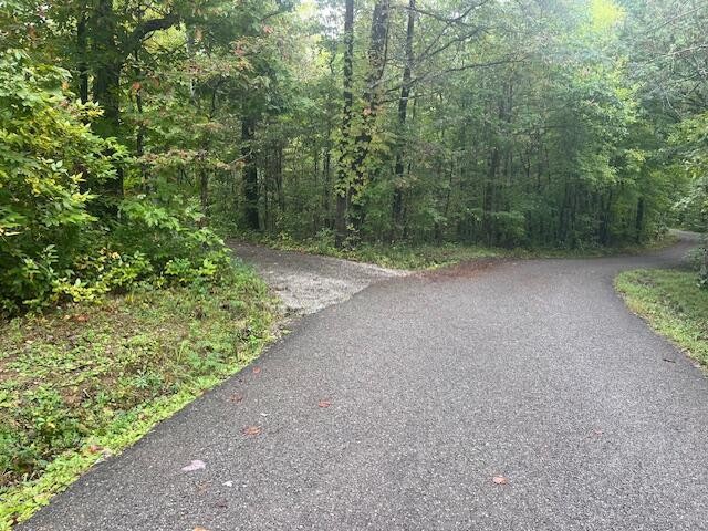 95 Blue Sky Road Property Photo 12