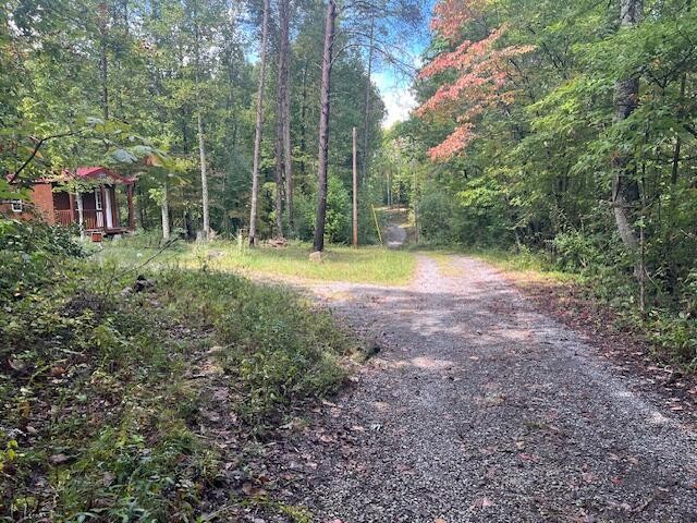 95 Blue Sky Road Property Photo 13