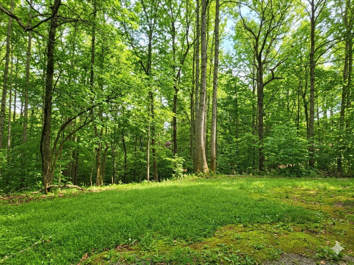 0 Periwinkle Path Property Photo 2