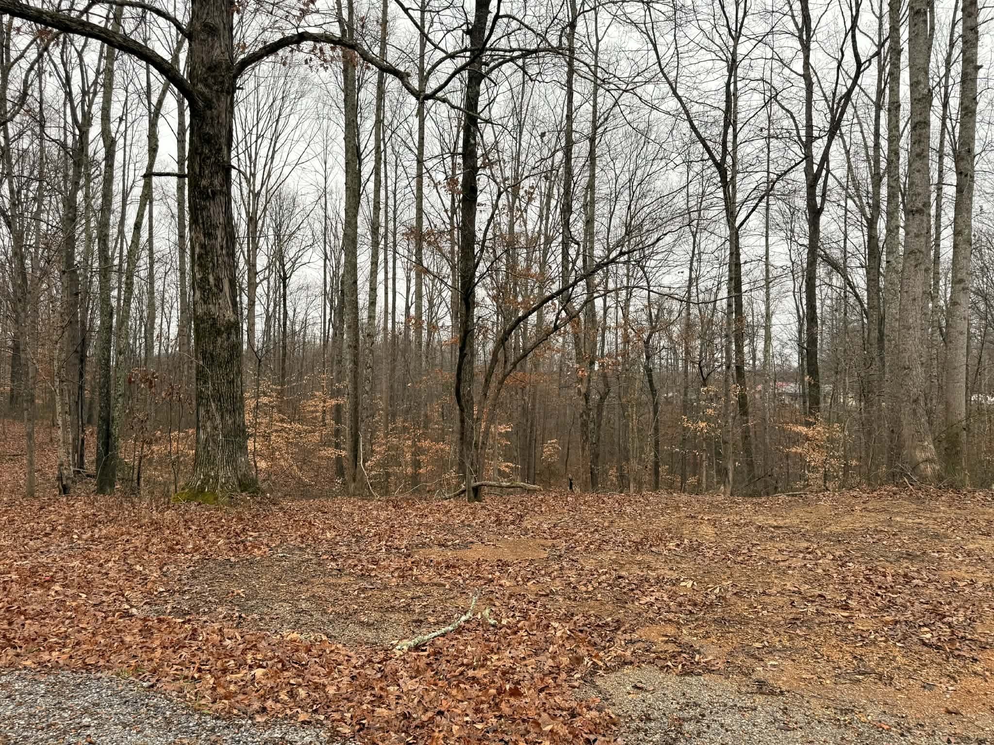 0 Periwinkle Path Property Photo 3