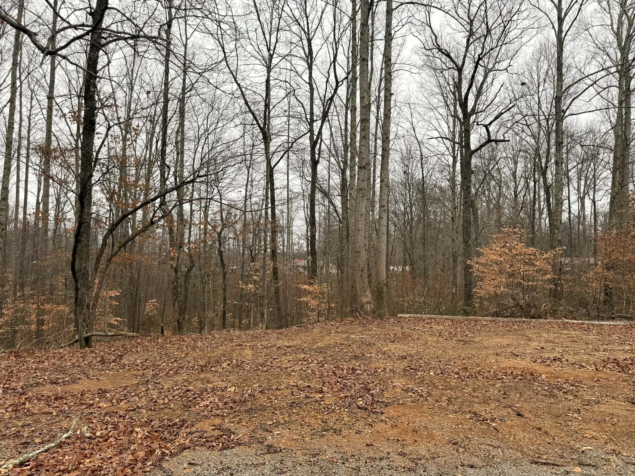 0 Periwinkle Path Property Photo 4