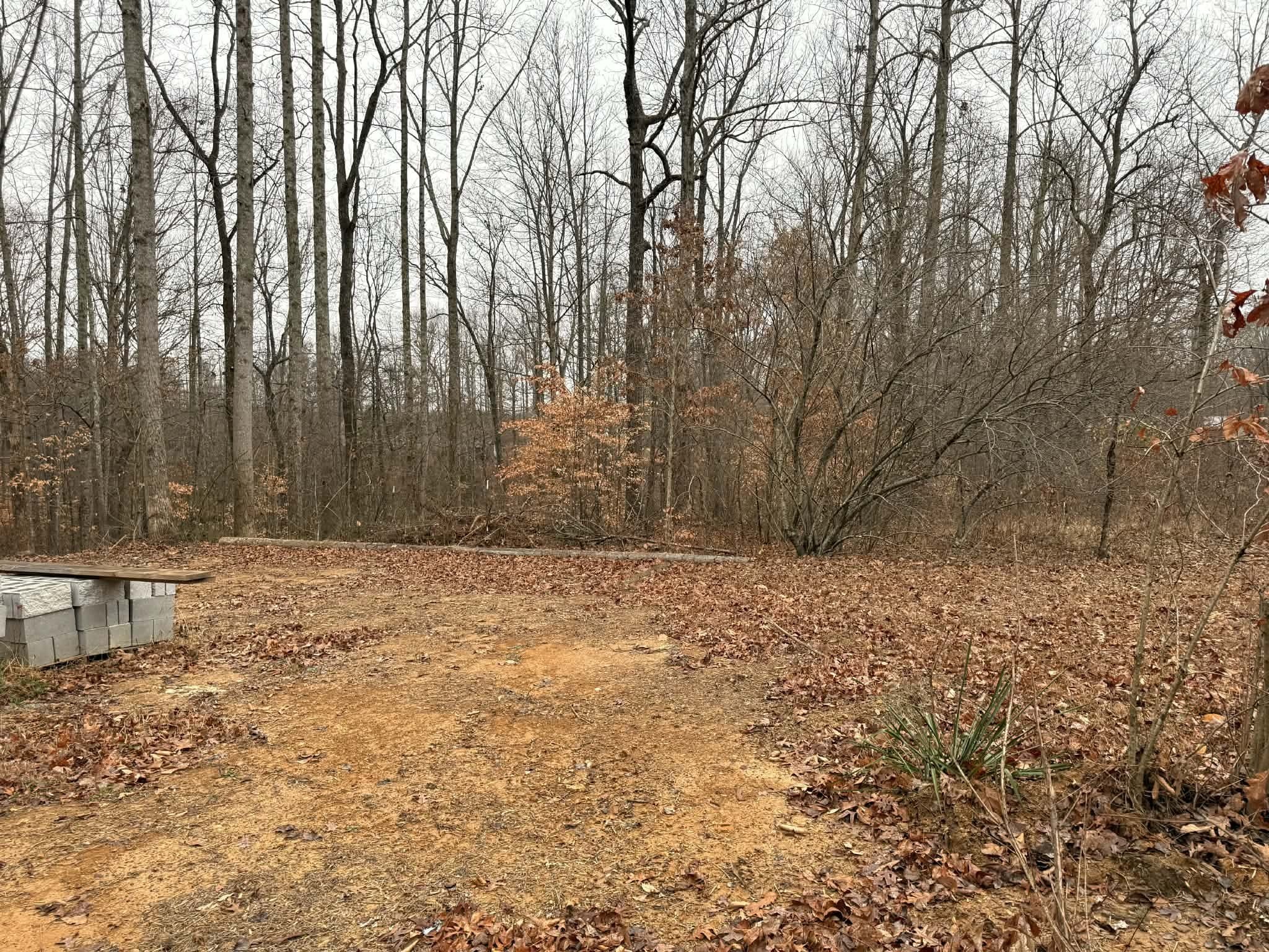 0 Periwinkle Path Property Photo 5