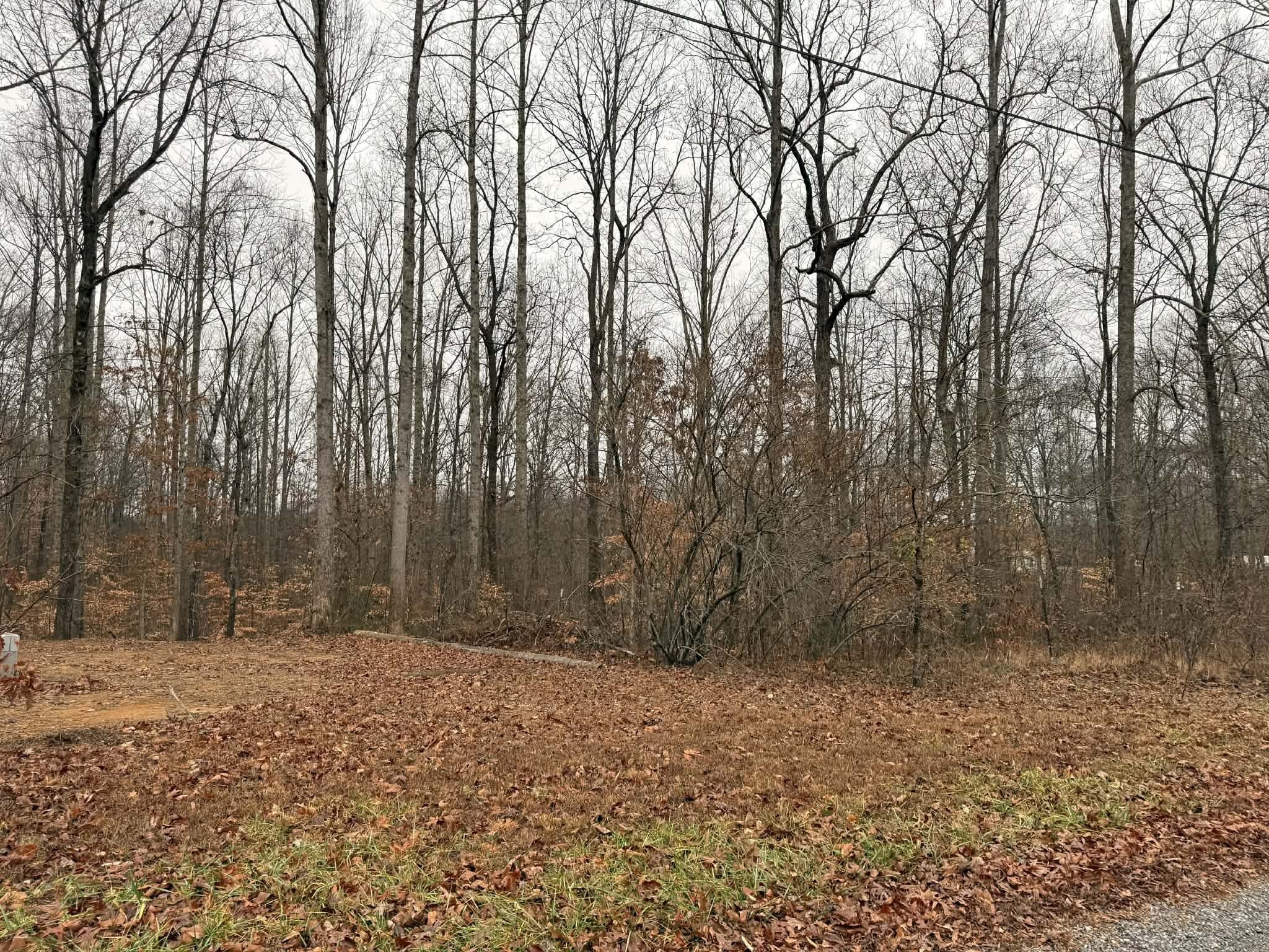 0 Periwinkle Path Property Photo 6