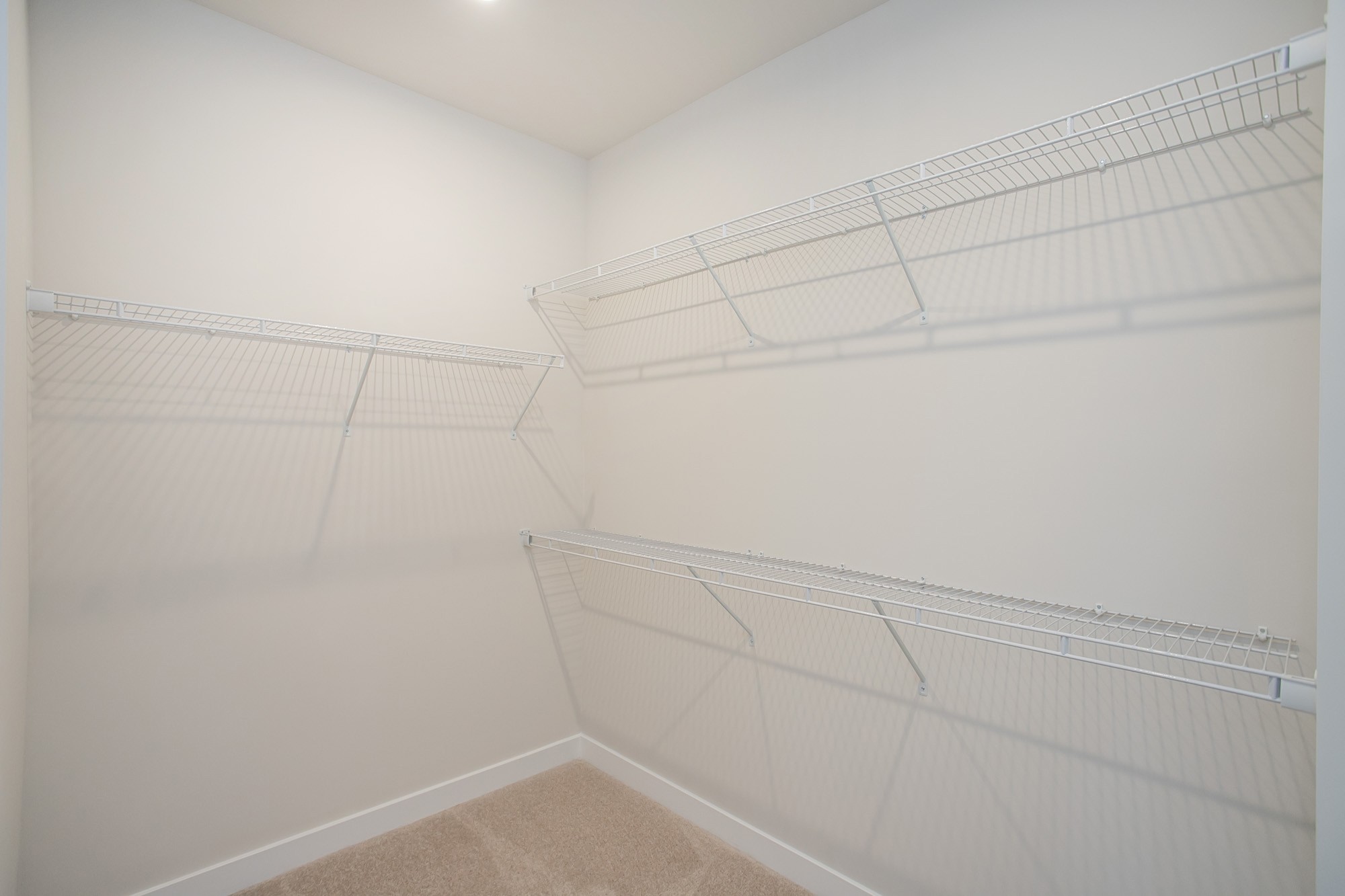 103 Great Falls Ct Property Photo 18
