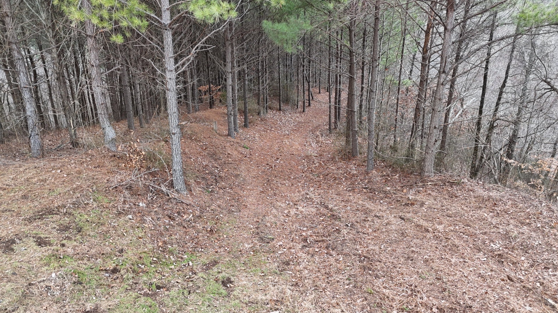 2932 Old Hohenwald Rd Property Photo 1