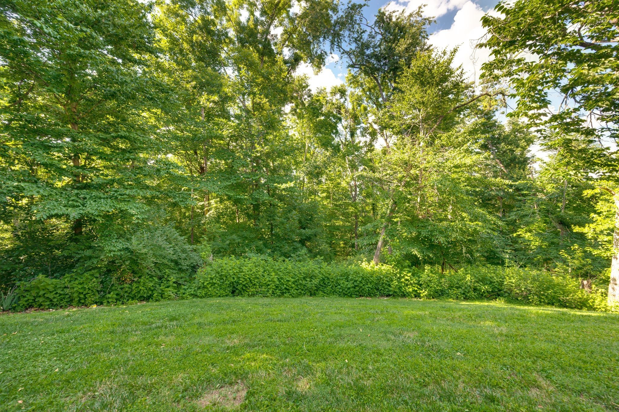 240 Temple Crest Trl Property Photo 53
