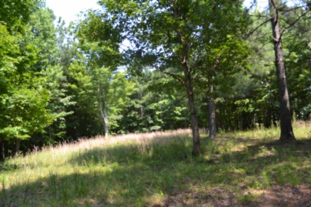 0 Topside Dr Property Photo 1