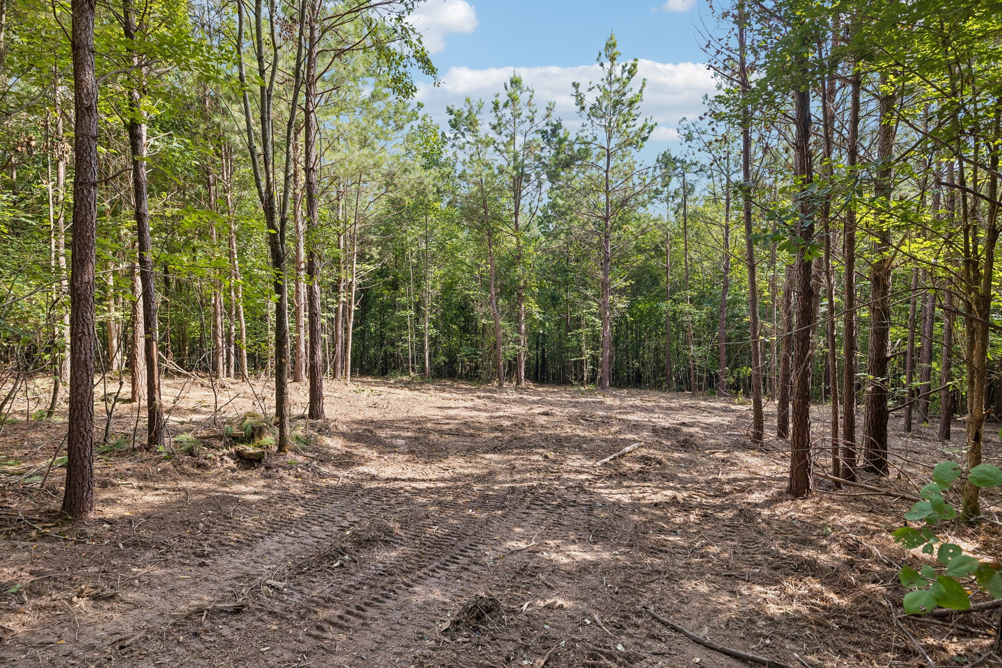 0 Falls Branch Road Property Photo 4