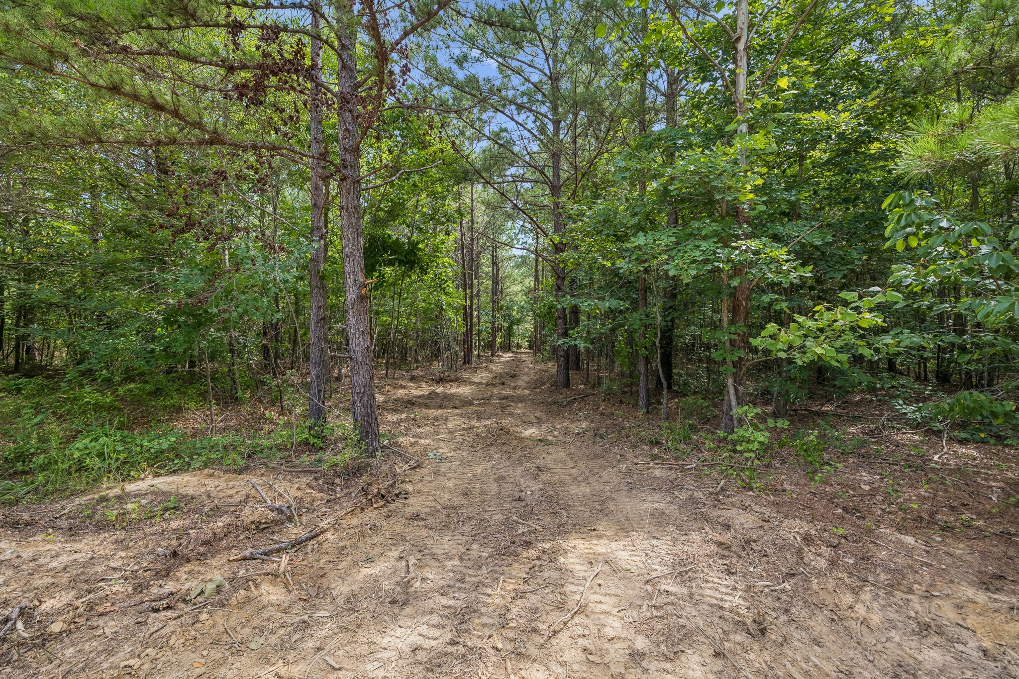 0 Falls Branch Road Property Photo 8