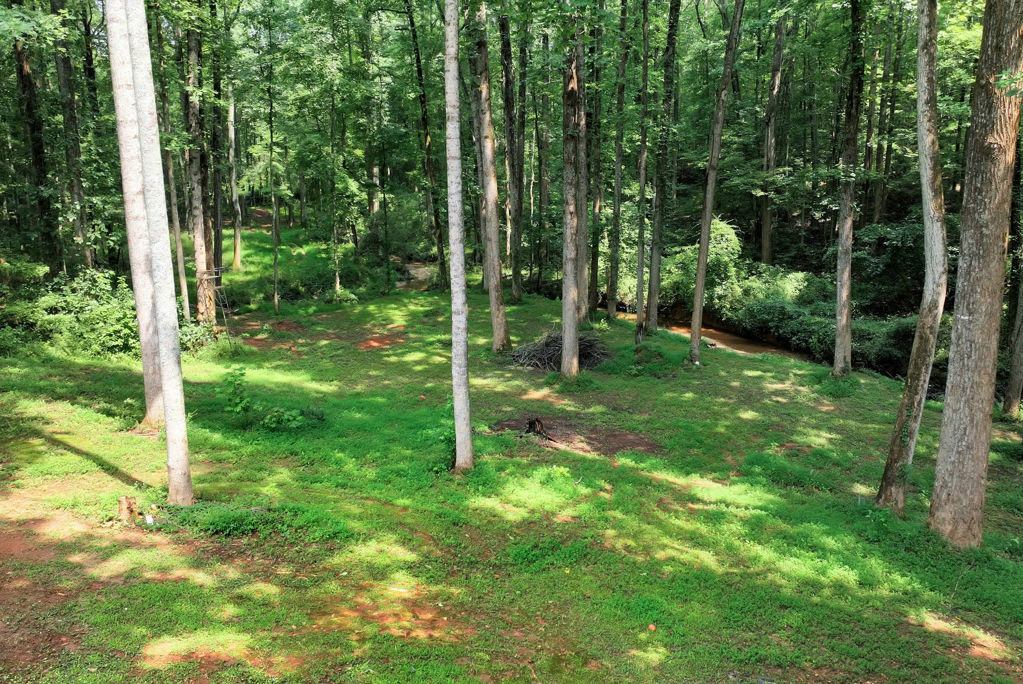 7865 Running Fox Trl Property Photo 9