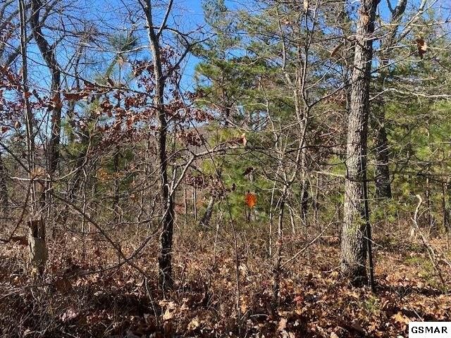 71 Poplar Place Property Photo 1