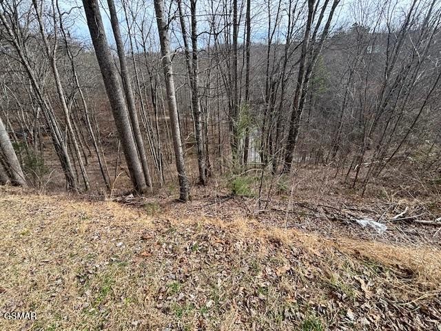 444 Sky View Property Photo 1