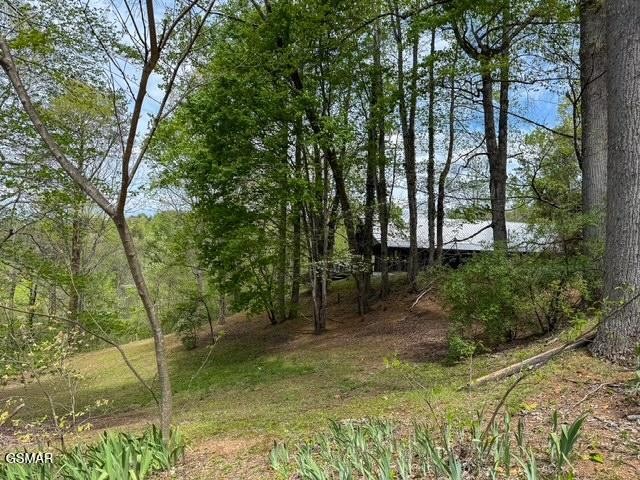 1421 Silver Poplar Lane Property Photo 2