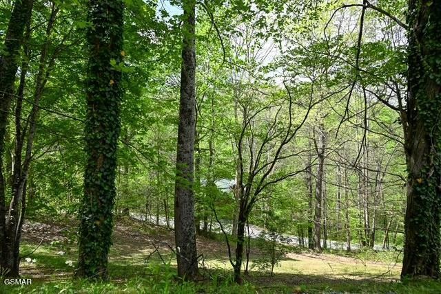 1421 Silver Poplar Lane Property Photo 24