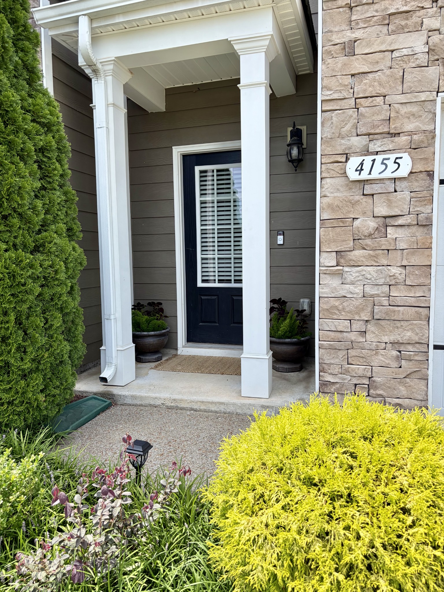 4155 Grapevine Loop Property Photo 4