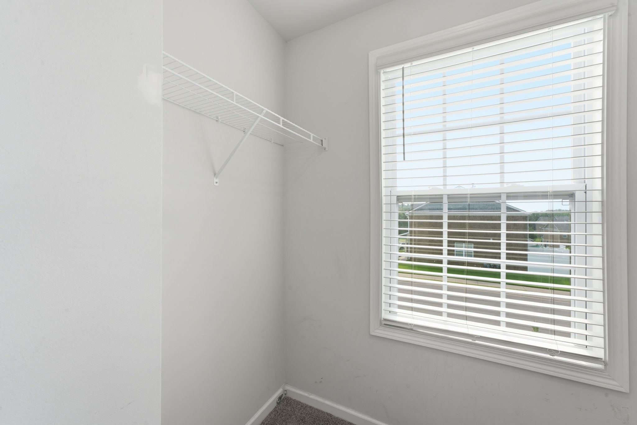 4155 Grapevine Loop Property Photo 24