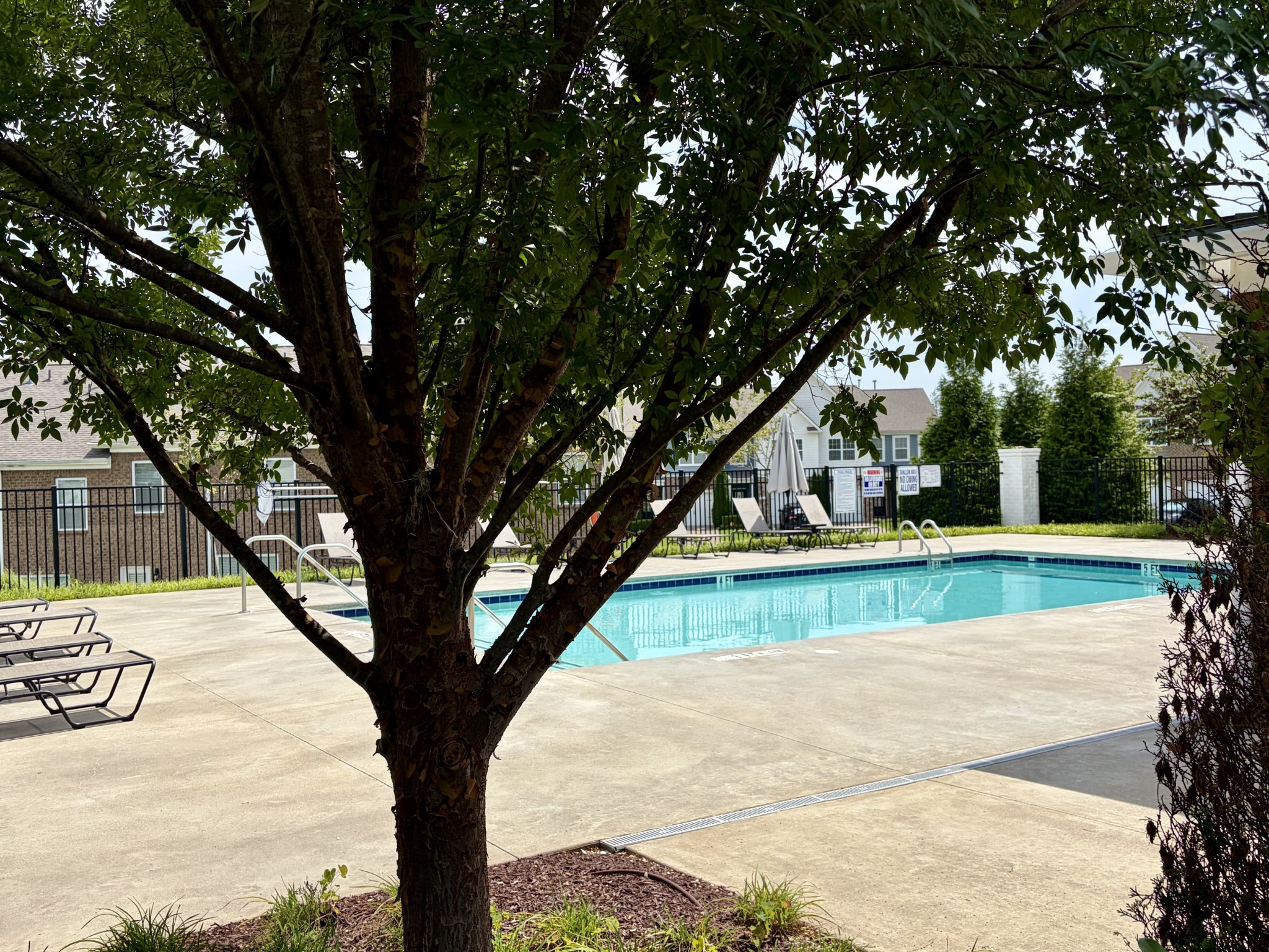 4155 Grapevine Loop Property Photo 48