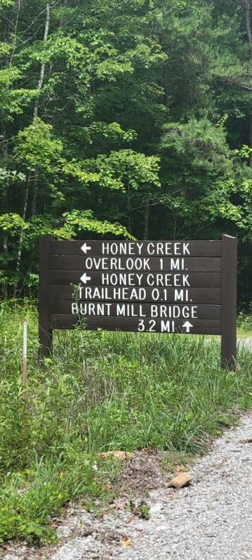 4700 Honey Creek Loop Rd Property Photo 73