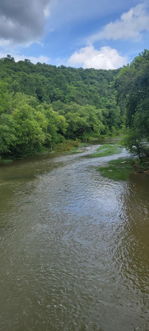 4700 Honey Creek Loop Rd Property Photo 81