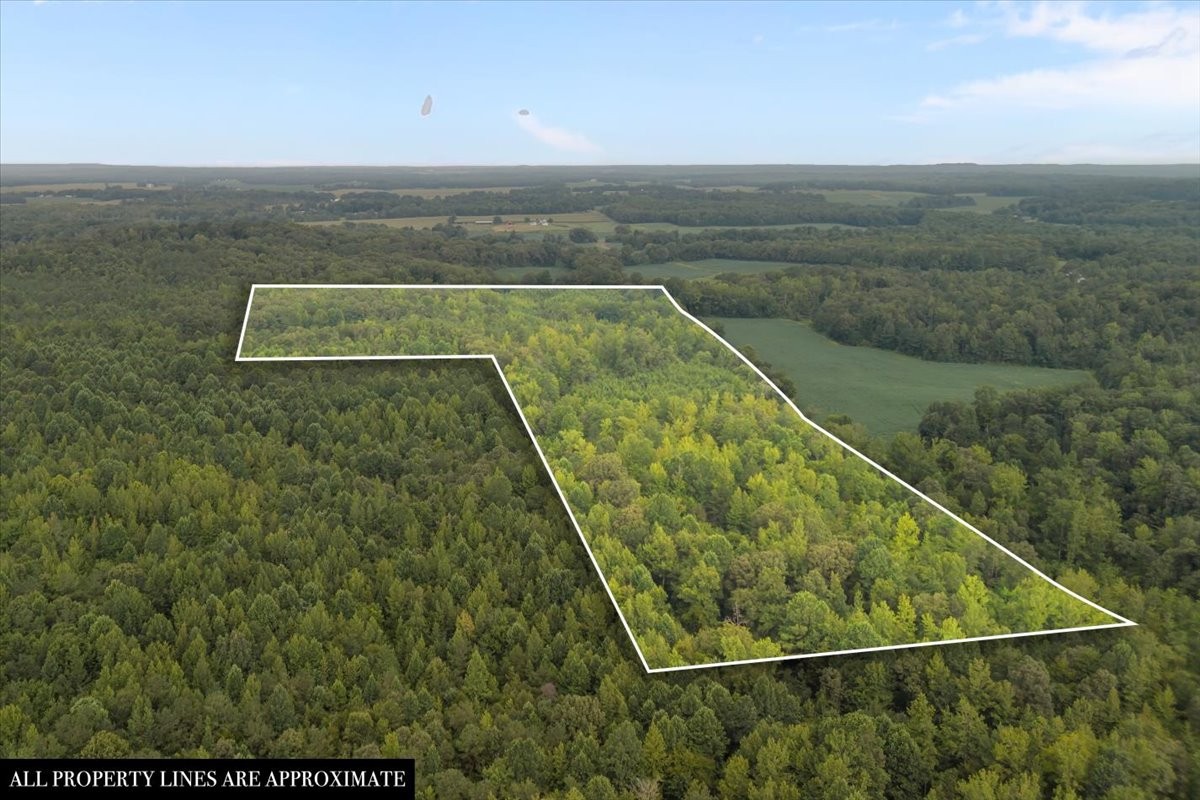 2030 Red Williams Rd Property Photo 50