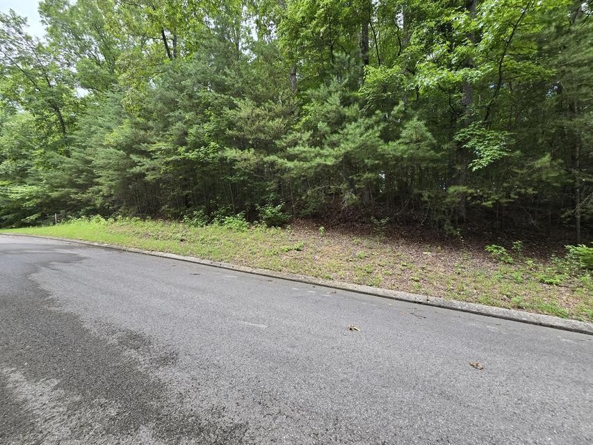 134 Lower Brow Road Property Photo 1