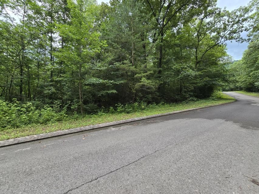 135 Lower Brow Road Property Photo 3