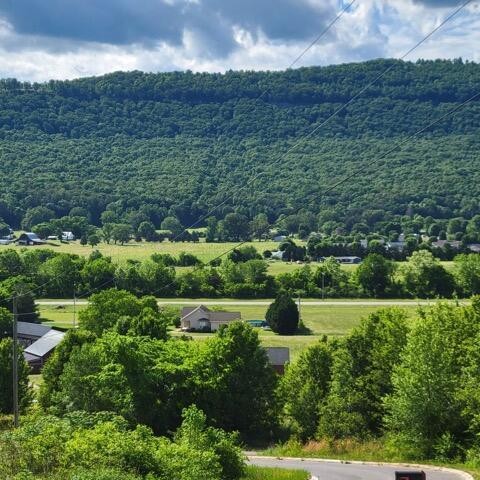 0 Hardin Rd 74 Road Property Photo 1