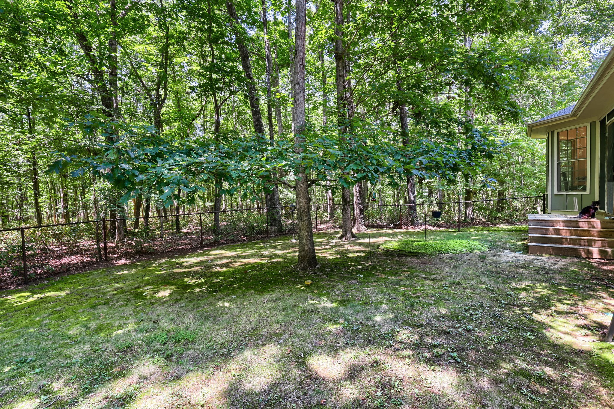 60 Lightning Bug Ln Property Photo 28