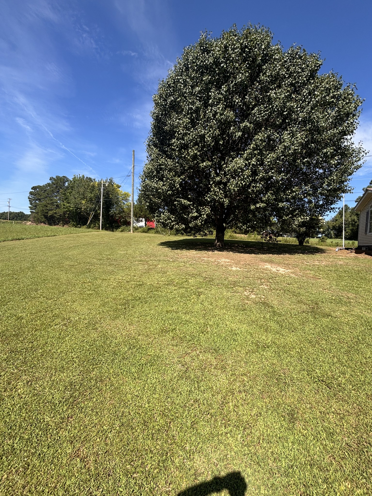 3249 Pea Ridge Rd Property Photo 5