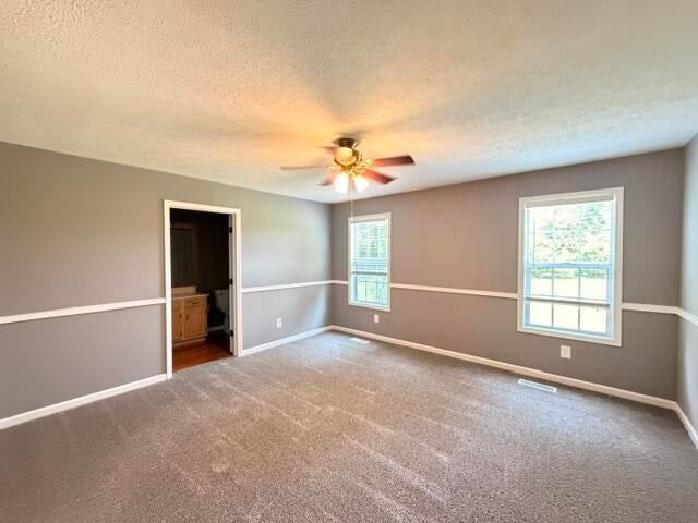 313 Dawn Dr Property Photo 19