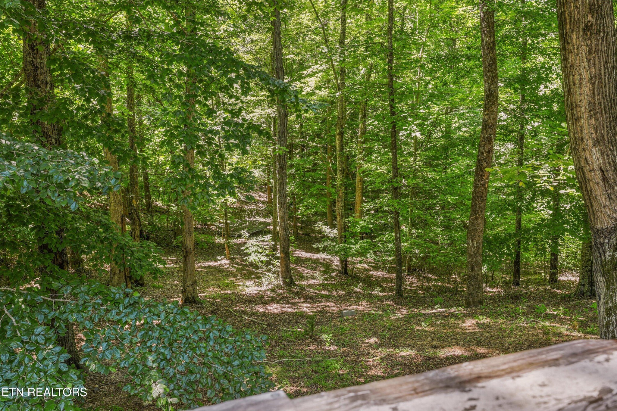 400 Cabbage Cemetery Rd Property Photo 45