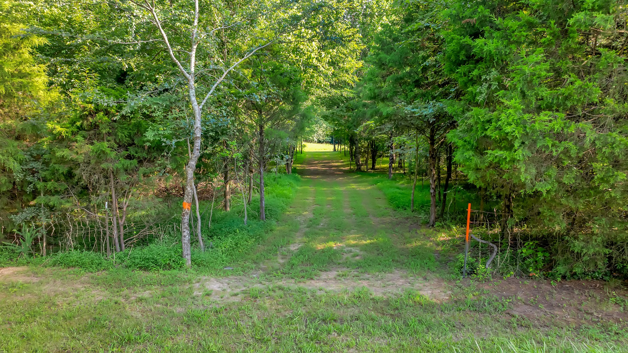 3701 Oakwood Church Rd Property Photo 12