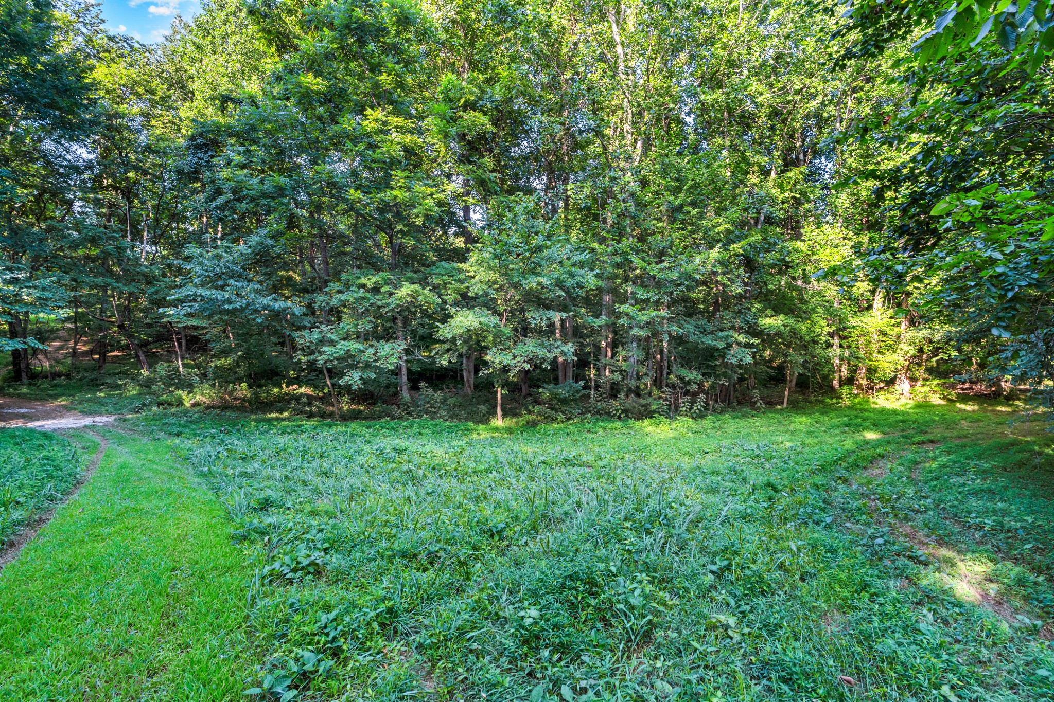 3701 Oakwood Church Rd Property Photo 27