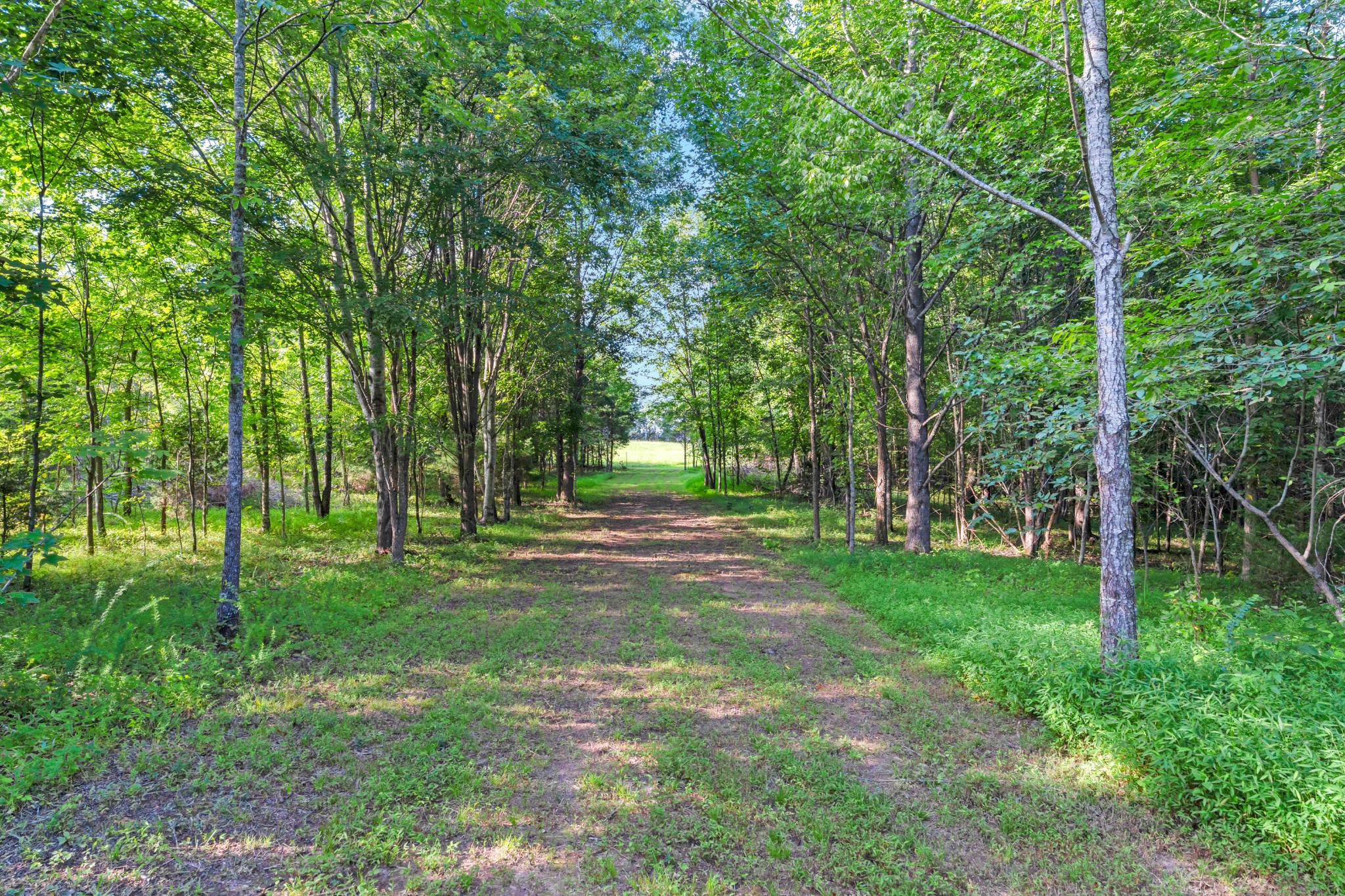 3701 Oakwood Church Rd Property Photo 29