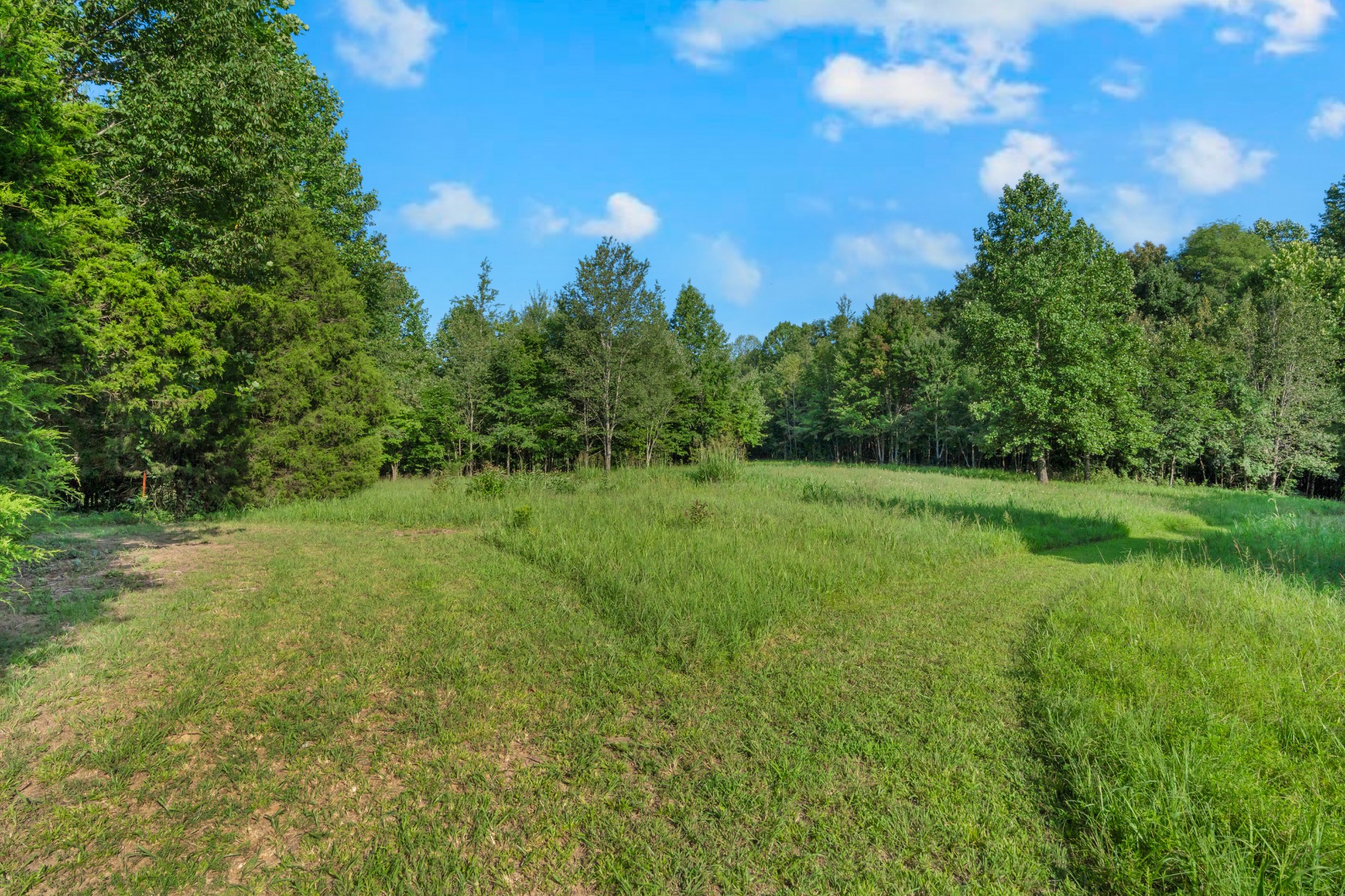 3701 Oakwood Church Rd Property Photo 30