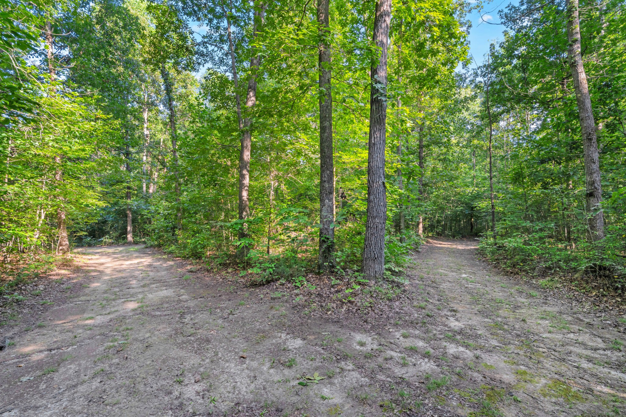 3701 Oakwood Church Rd Property Photo 40