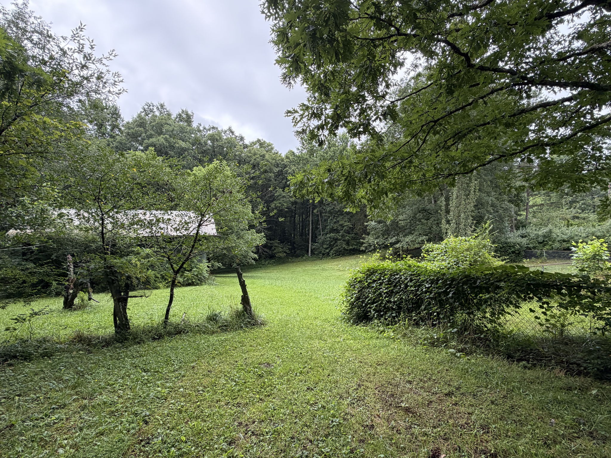704 Canyon Dr Property Photo 14