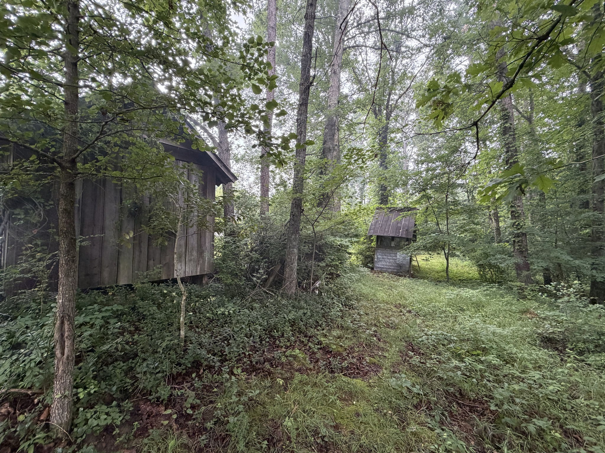 704 Canyon Dr Property Photo 17