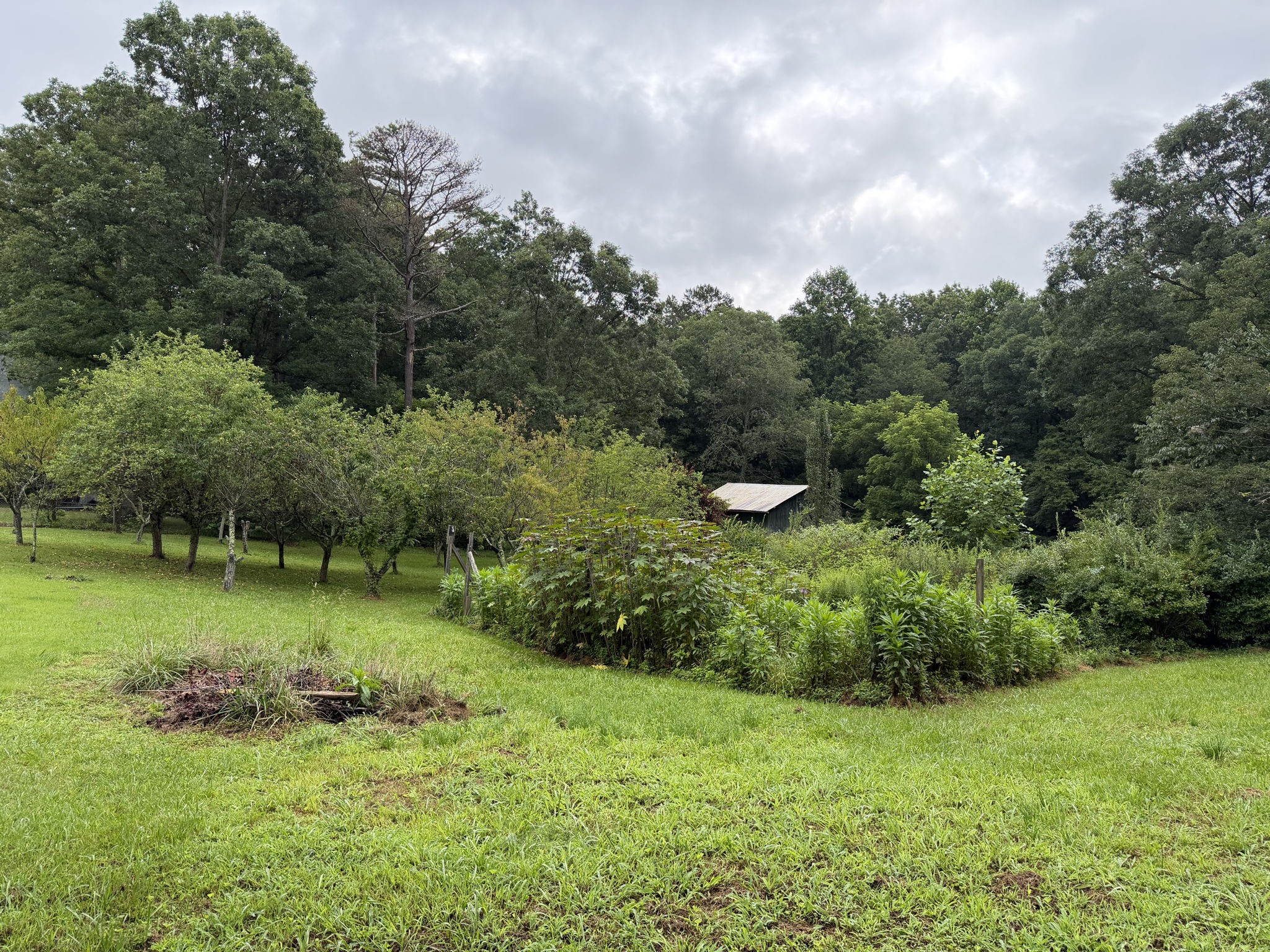 704 Canyon Dr Property Photo 26