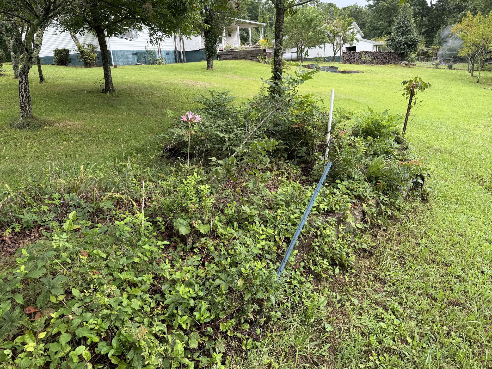 704 Canyon Dr Property Photo 27