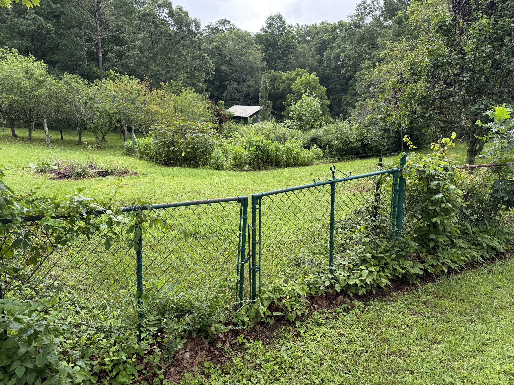 704 Canyon Dr Property Photo 30