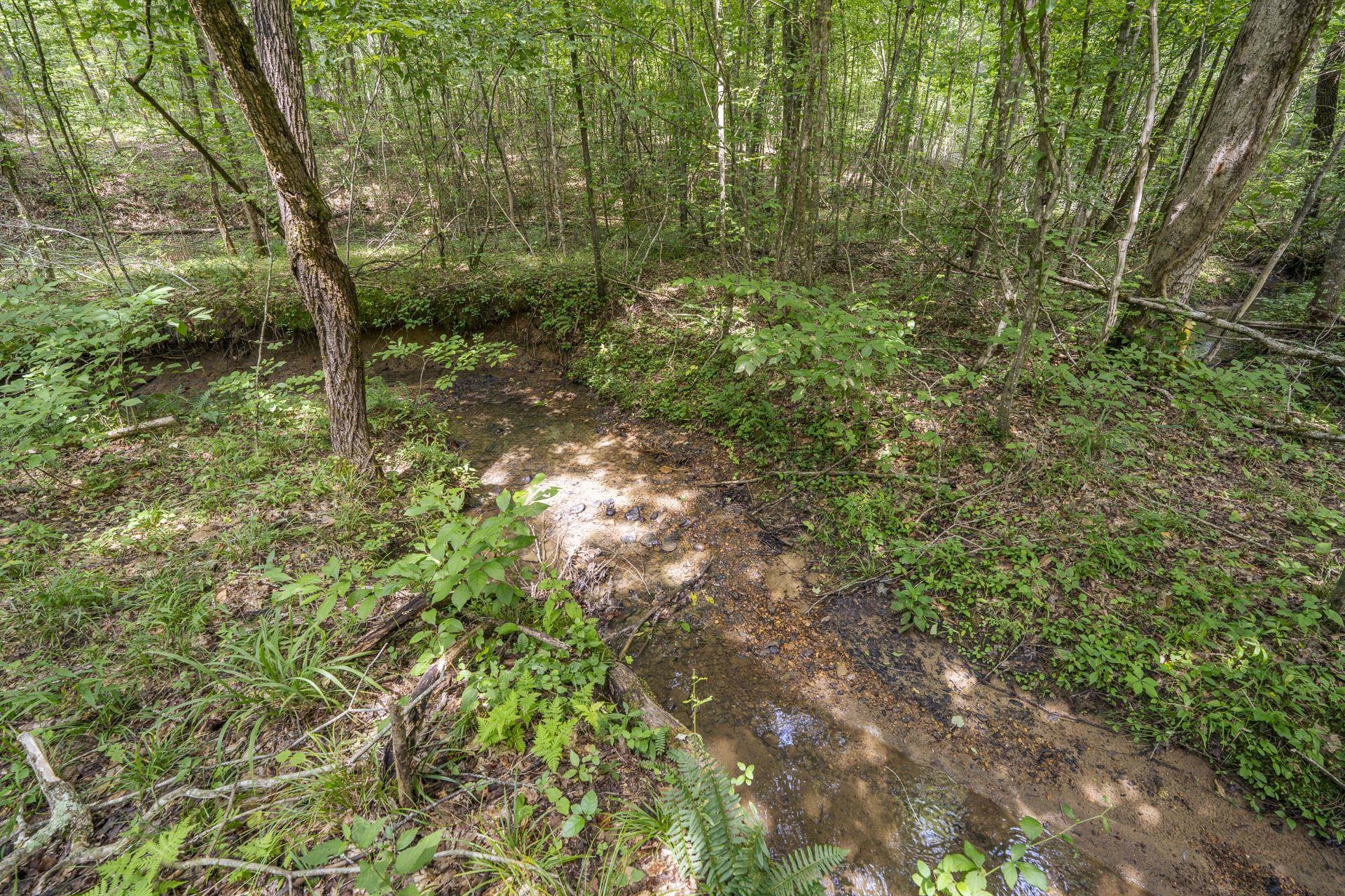 311 Dew Drop Rd Property Photo 32