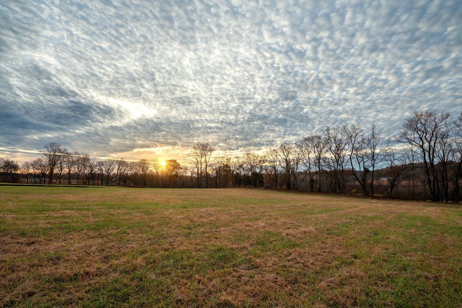 3016 Blythe Meadow Ln Property Photo 9