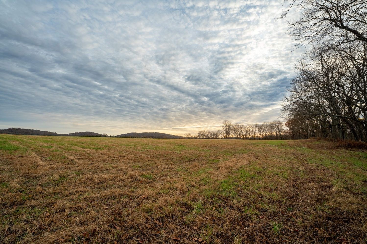 3016 Blythe Meadow Ln Property Photo 10